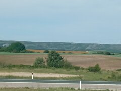 IMG_20260525_101219.jpg