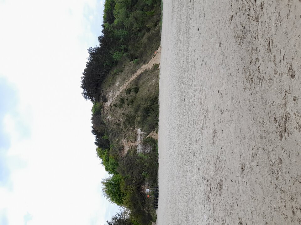 20230520_182905.jpg - 72750000