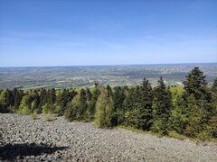 IMG_20260502_134608.jpg