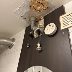 IMG_0613.jpeg