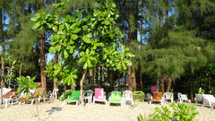 DSC00467.JPG