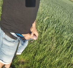1000029795.jpg