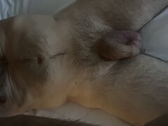 IMG_6373.jpeg