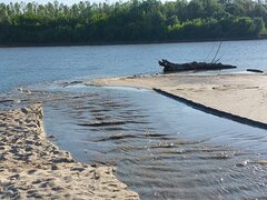 20260526_064342.jpg