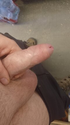 IMG-20260527-WA0004.jpeg