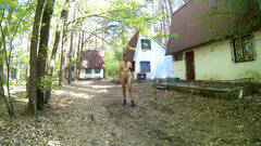 CHECHŁO - 20260524_0949.mp4_snapshot_02.07_[2026.05.24_17.38.27