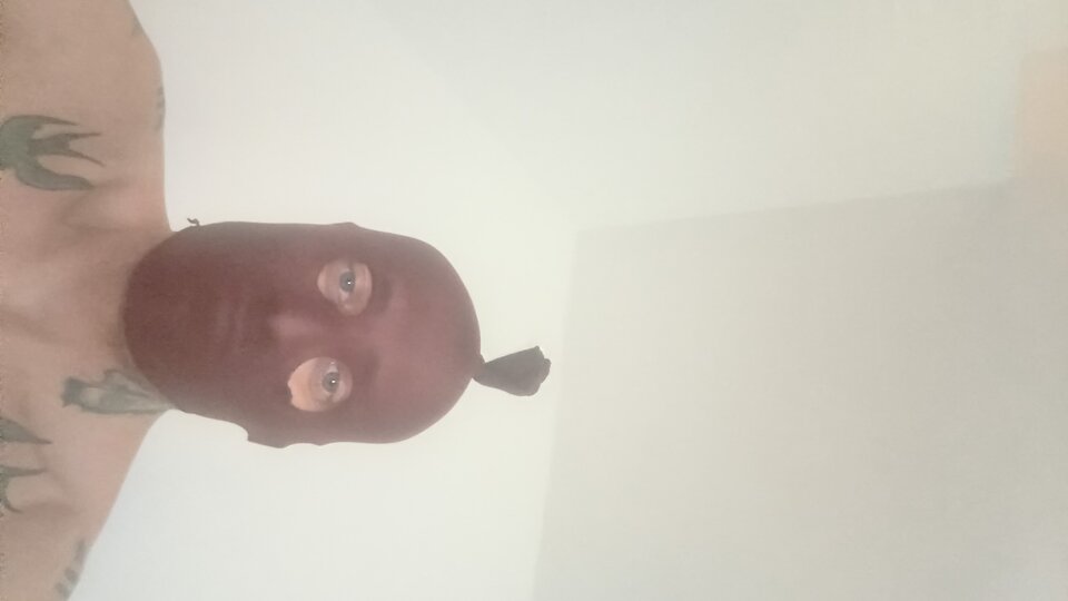 1000008722.jpg - PrrySzalony