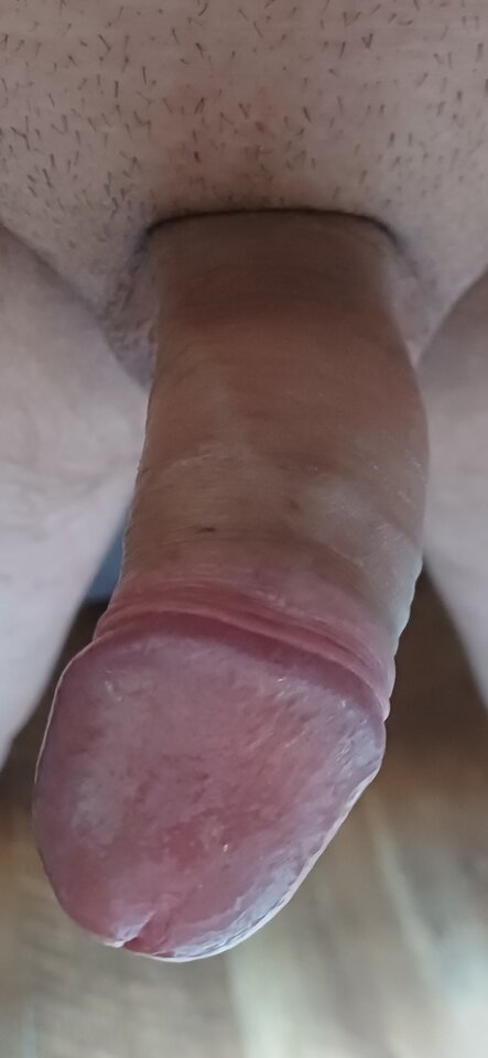 1000081483.jpg - Pento1231