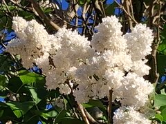 20260528_185406.jpg