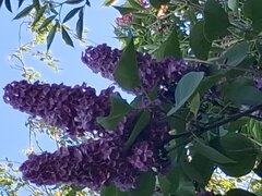 20260528_185204.jpg