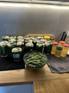 IMG_9124.jpeg