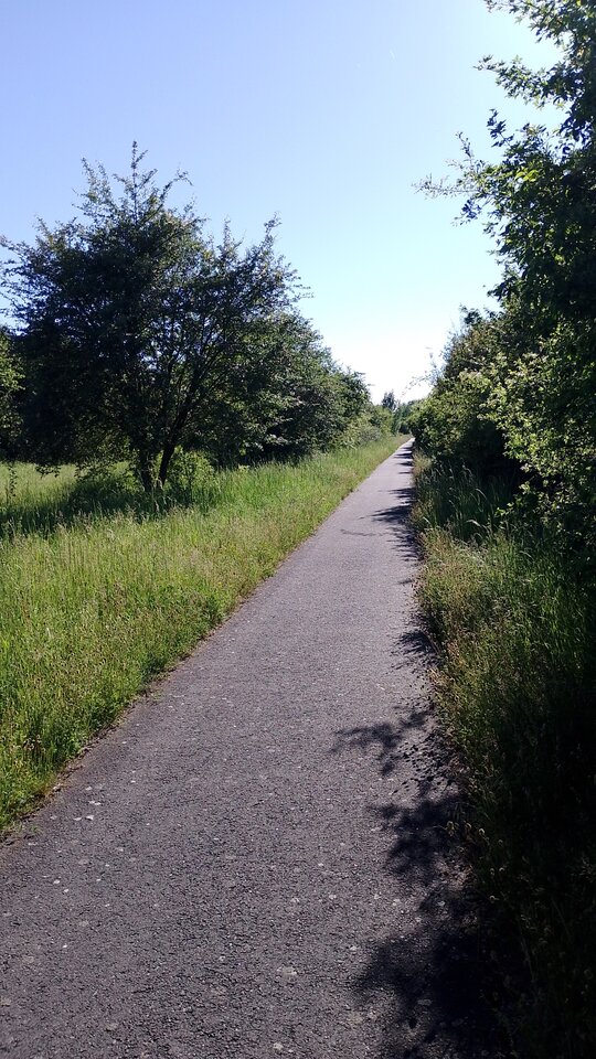 IMG-20260528-WA0013.jpeg - Tomasz754