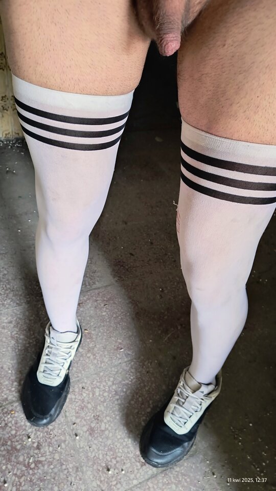 32c0993e-ba9e-42c8-a31a-1f2fffbd6106-1_all_523.jpg - CD_Pussy