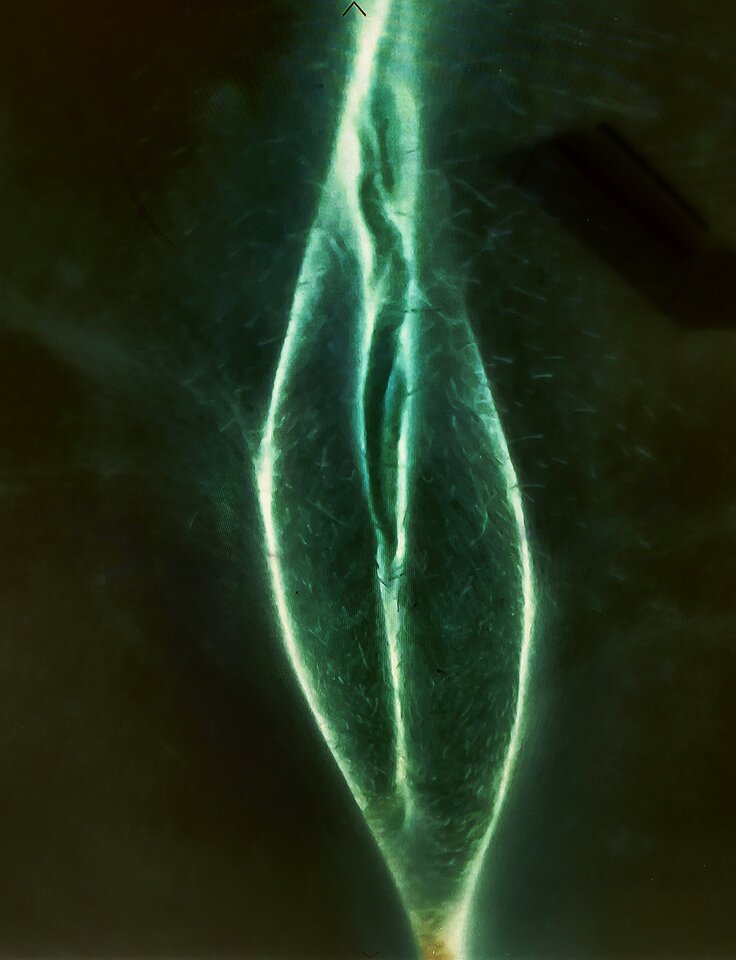 1000001156.jpg - AKMS76239
