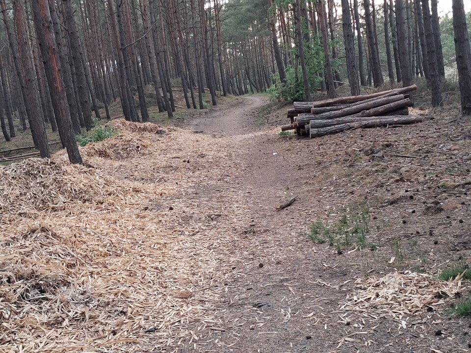 20260526_193625.jpg - Misiek_Gd