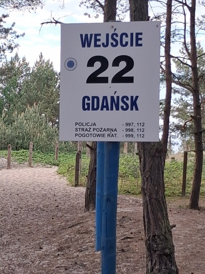 20260526_193526.jpg - Misiek_Gd
