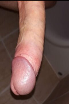 1000019038.jpg