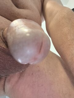 8142.jpg