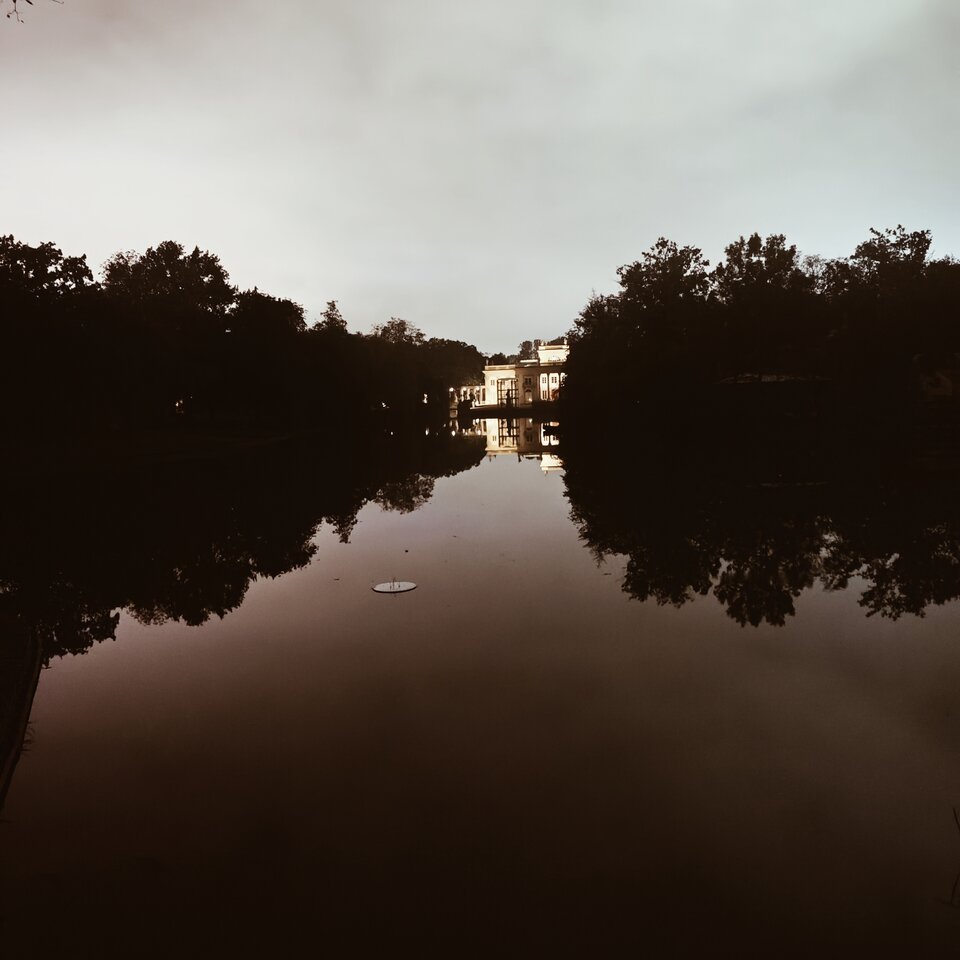 2895.jpg - Skubatura