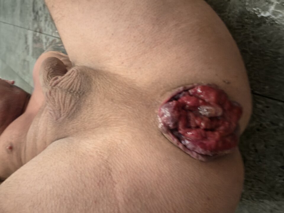 7434.jpg - Magic_Holes