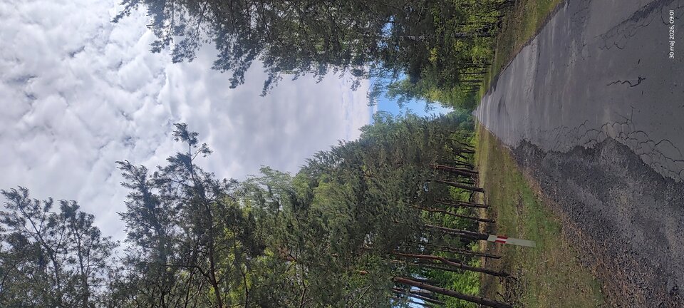 1000015477.jpg - Kojot37