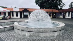 IMG_7629.jpeg