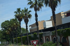 DSC_0125.JPG