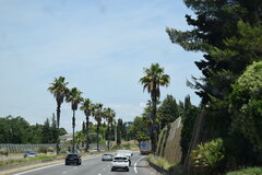 DSC_0128.JPG
