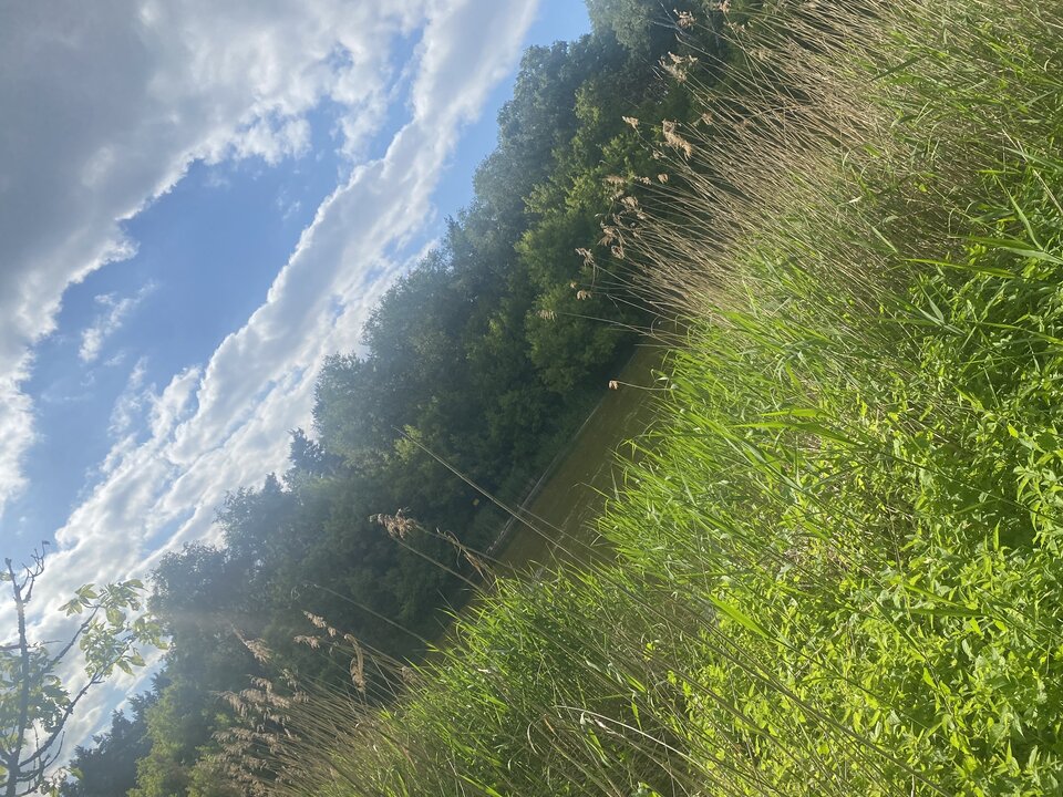 IMG_0454.jpeg - MoniaMarcinPN